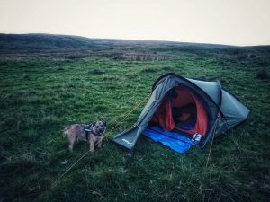 Fountains Fell 01