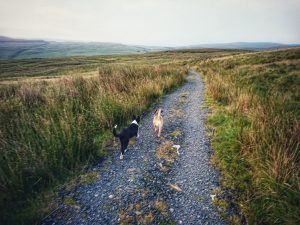 Fountains Fell 01