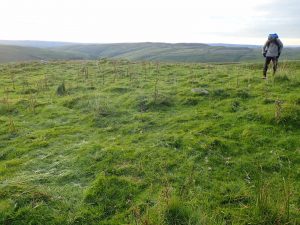 Fountains Fell 02