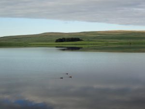 Fountains Fell 02