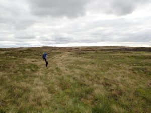 Fountains Fell 02