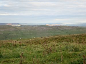 Fountains Fell 02