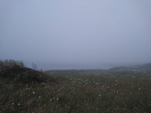 Fountains Fell Tarn 02 – Wild Camp #010
