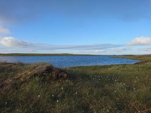 Fountains Fell Tarn 02 – Wild Camp #010
