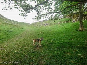 Fountains Fell Tarn 01 – Wild Camp #009