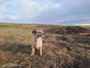 Fountains Fell Tarn 01 – Wild Camp #009
