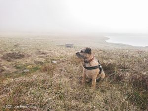 Fountains Fell Tarn 01 – Wild Camp #009