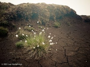 Fountains Fell Tarn 01 – Wild Camp #009