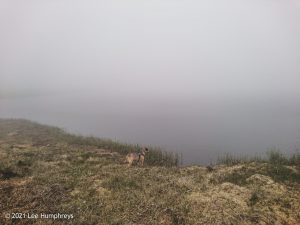 Fountains Fell Tarn 01 – Wild Camp #009