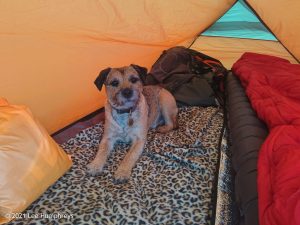 Fountains Fell Tarn 01 – Wild Camp #009