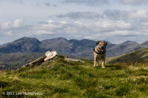 Goatfoot Crags, Lake District – Wild Camp #034