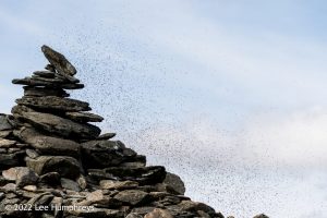 Goatfoot Crags, Lake District – Wild Camp #034