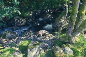 Goatfoot Crags, Lake District – Wild Camp #034