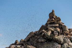 Goatfoot Crags, Lake District – Wild Camp #034