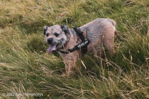 Goatfoot Crags, Lake District – Wild Camp #034