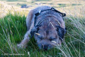 Goatfoot Crags, Lake District – Wild Camp #034