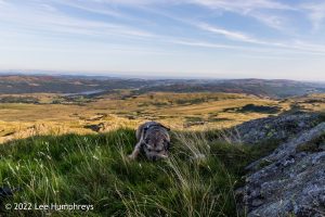 Goatfoot Crags, Lake District – Wild Camp #034
