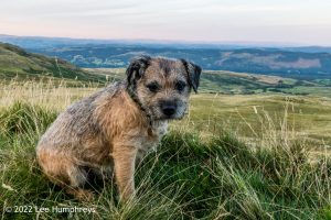 Goatfoot Crags, Lake District – Wild Camp #034