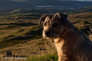 Goatfoot Crags, Lake District – Wild Camp #034