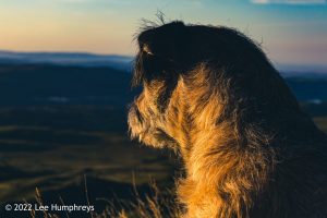 Goatfoot Crags, Lake District – Wild Camp #034