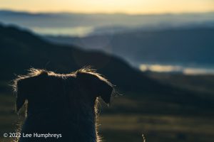 Goatfoot Crags, Lake District – Wild Camp #034