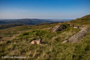 Goatfoot Crags, Lake District – Wild Camp #034