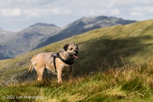Goatfoot Crags, Lake District – Wild Camp #034