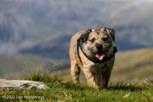 Goatfoot Crags, Lake District – Wild Camp #034
