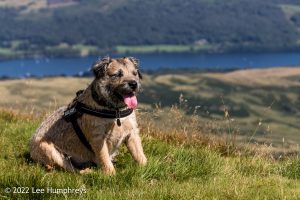 Goatfoot Crags, Lake District – Wild Camp #034