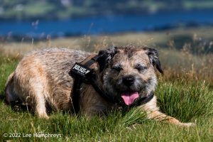 Goatfoot Crags, Lake District – Wild Camp #034