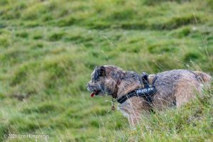 Gordale Scar, Malham – Wild Camp #018
