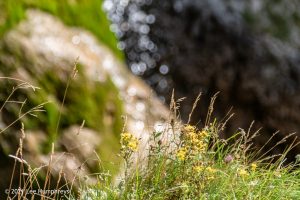 Gordale Scar, Malham – Wild Camp #018