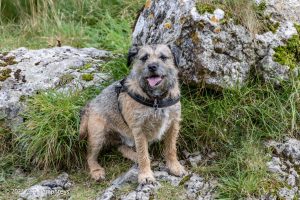Gordale Scar, Malham – Wild Camp #018