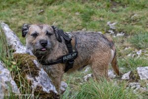 Gordale Scar, Malham – Wild Camp #018