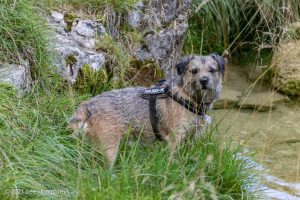 Gordale Scar, Malham – Wild Camp #018