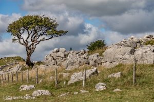 Gordale Scar, Malham – Wild Camp #018