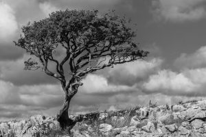 Gordale Scar, Malham – Wild Camp #018