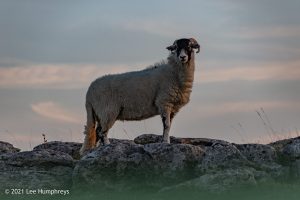 Gordale Scar, Malham – Wild Camp #018