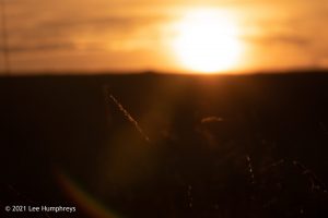 Gordale Scar, Malham – Wild Camp #018