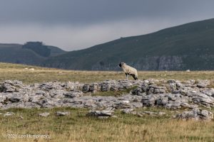 Gordale Scar, Malham – Wild Camp #018