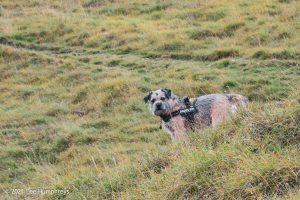 Gordale Scar, Malham – Wild Camp #018