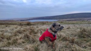 Gorple Stones – Wild Camp #027