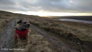 Gorple Stones – Wild Camp #027