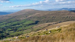 Great Knoutberry Hill, Yorkshire Dales – Wild Camp #040