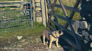 Great Knoutberry Hill, Yorkshire Dales – Wild Camp #040