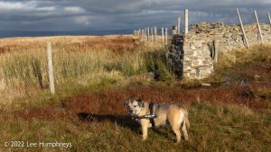 Great Knoutberry Hill, Yorkshire Dales – Wild Camp #040