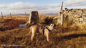 #040: Great Knoutberry Hill, Yorkshire Dales