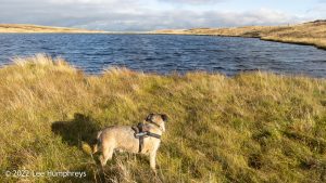 Widdale Great Tarn, Great Knoutberry Hill, Yorkshire Dales – Wild Camp #040