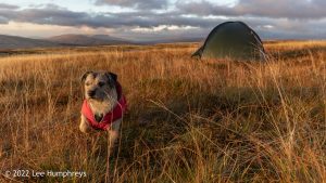 Great Knoutberry Hill, Yorkshire Dales – Wild Camp #040