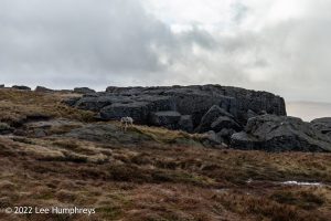 Great Whernside